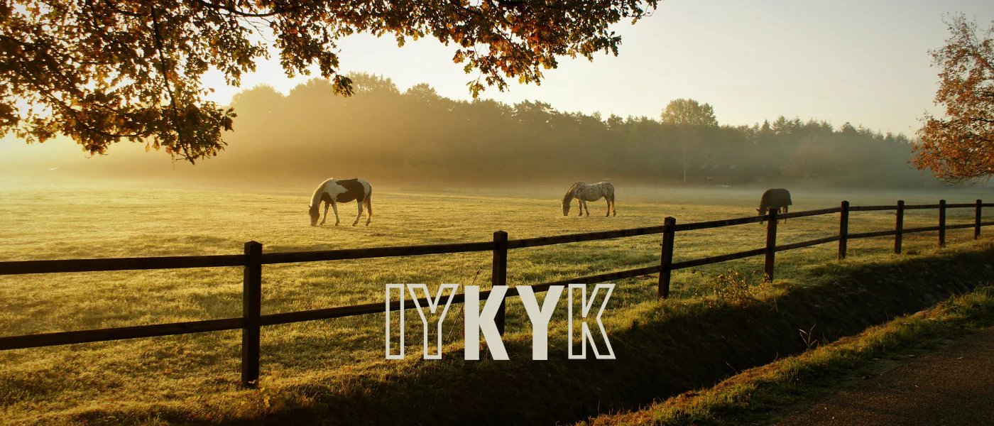 Unapologetically Kentucky Since 2011